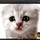Screen shot 2011-12-12 at 7.35.54 pm.thumb